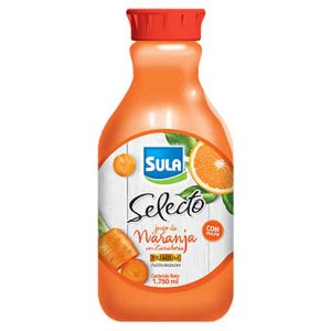Jugo selecto de naranja con zanahoria
